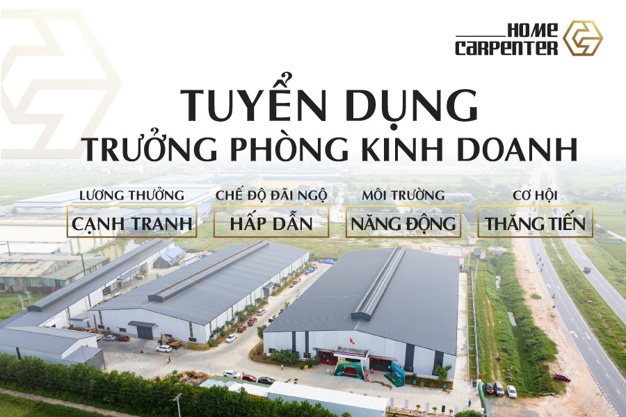 Tuyển dụng Trưởng phòng Kinh doanh tại Home Carpenter